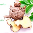 주식회사 해랑 티스토리
