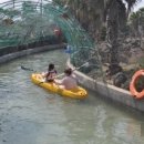 비체올린 이미지