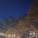 창리서로 | 용인남사고기집 토마호크 분위기 맛집 남사고기