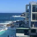 시드니호텔투 | 호주여행 시드니 가 볼 만한 곳 추천 본다이 아이스버그 후기 크리스마스 운영시간