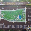 중앙광장 앞 이미지