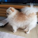 신길 온동물병원 이미지