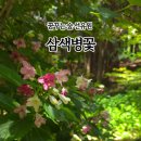 숲속의아침(선유원) 이미지