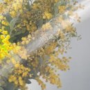 뮤게(muguet) 이미지