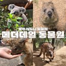 e-TOWN4 | 호주 시드니 여행 동물원 추천 페더데일 가는법 후기 입장권