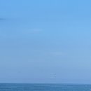 사구해수욕장2 | 경상북도 울진군 평해사구습지 생태공원, 망양정해수욕장 방문 후기