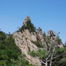 공룡발톱 - 문경시 상신로 7 | 공룡발톱