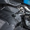 퍼스트게러지 이미지