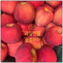 늘봄부동산중개 | 대구 수성구 과일 선물세트 늘봄파파