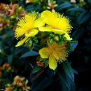 이종문 축사 이미지