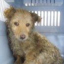 난곡동-14 이미지