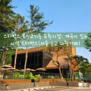 스타벅스 용인고기동유원지점: 계곡이 있는 이색 스타벅스(서울근교 대형카페)