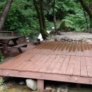 정선 도원펜션&캠핑장 이미지