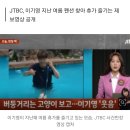 이기영, 고양이 수영장에 빠뜨리고 '웃음'…전문가 "동물학대, 사이코패스 특징" 이미지