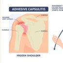 365용호한의원 이미지