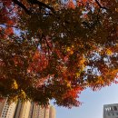 벌써 만난 지도 1년이 됐어 ☃️🤍 이미지