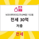 브라이튼공인중개사사무소 네이버블로그