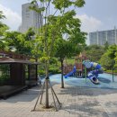 보물선어린이공원 이미지