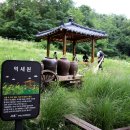 우면산둘레길 티스토리