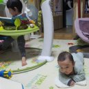 멍멍타요 이미지