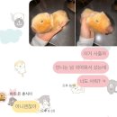 사면석불 공중화장실 | 비행기를 타고 가야 만날 텐데 만만치가 않아않아 울먹울먹