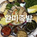 한상차림족발 | 청주 지웰시티 맛집 l 완미족발 복대점 굴보쌈 족발오마카세 한상차림 솔직후기