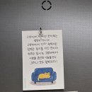 대행목장 1 | [고양이] 2026 궁디팡팡 캣페스타 부산 후기(내돈내산)