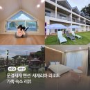 새재리아 이미지