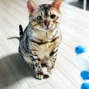 백현Se동물병원 이미지