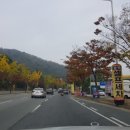 구봉낚시터 이미지