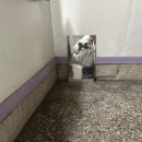 온세약국 이미지