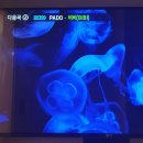 코인몬스터 노래연습장 대구동성로점 이미지