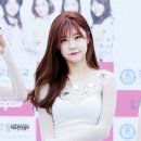 개예쁘다 Daum카페