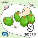 동안구청, 보건소 | 유산후 재임신) 관악구청 보건소 임신 초기 검사 준비물, 임산부 등록 선물