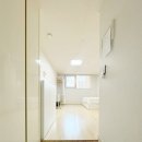 유림노르웨이숲세탁 이미지