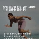 양평모세골황토방 네이버블로그