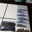 음지농장 이미지