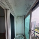 세븐일레븐인천만수삼환점 | 인천 탄성코트 남동구 만수동 만수삼환 도장 제거하기