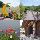 강변공원 | 장성 가볼만한곳 황룡강 생태공원, 축령산 편백치유의숲 여행