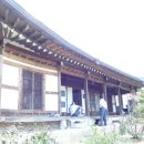 전주 다인이신 '다음'님 댁 사진입니다. 이미지