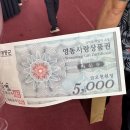 영동고등학교 | Review🍷 : 2024 영동 와인 축제, 와린이의 축제감상, 영동와인추천