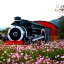 곡성-252 이미지