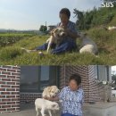 아루농장 이미지