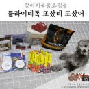 클라이네독 | 강아지용품쇼핑몰 클라이네독 또샀네 또샀어