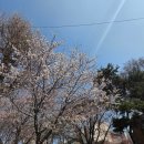 동화 속 요리 세상 | [결혼 준비 / 웨딩홀 투어] 동화 같은 결혼식 가능한 "더파티움 여의도 파티움홀" (당일혜택○, 최종...