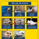 스피드세탁소 | 경기도 안양시 명품신발세탁 발렌시아가 스피드러너 깔끔 후기!