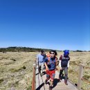 24년 5월 제주도 대 한라산 백록담 20.5km 영실~어리목 “치매걸려도 이건잊지말자 ”세번째 이미지