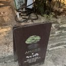 대구 막창 맛집 달벌생막창 내돈내산 후기