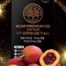 고른오일 이미지