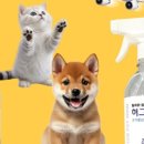 펫나우 이미지